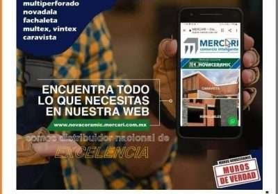 templatepromomercarinova