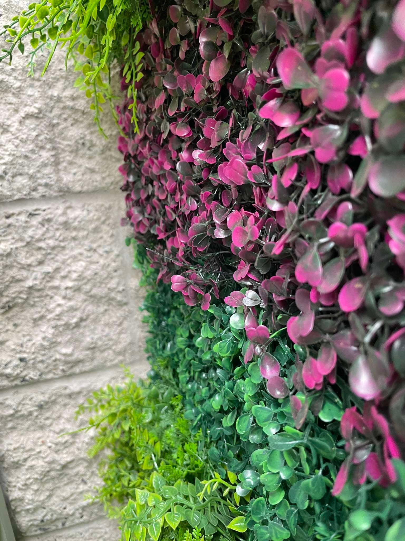 MUROS VERDES PERSONALIZADOS | Diseño y naturaleza a tu medida