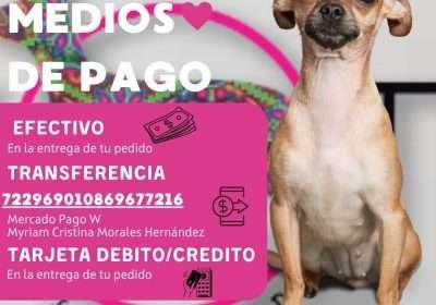 Formas-de-pago-XOTLI