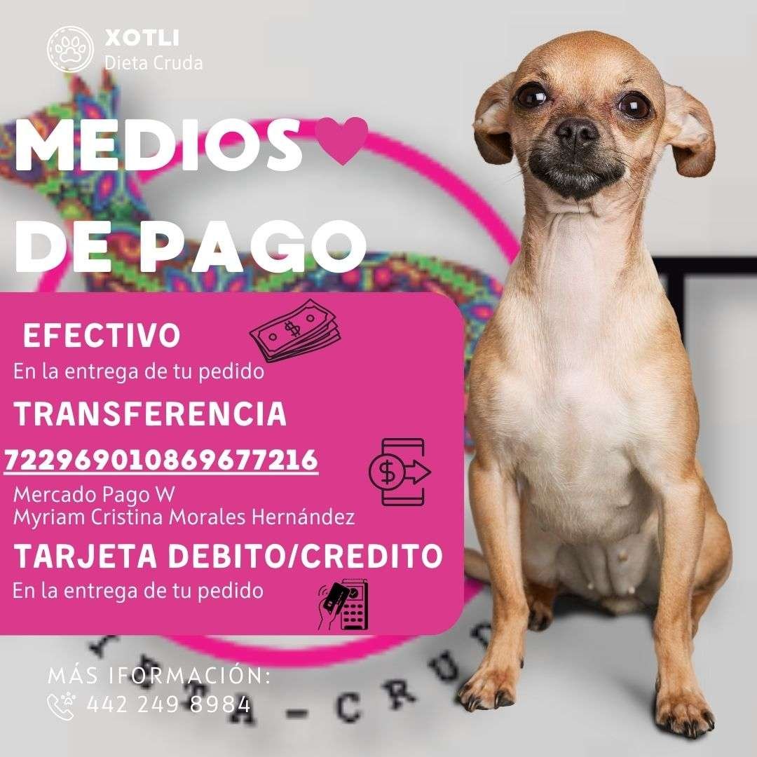 COMIDA CRUDA TIPO BARF PARA TU MASCOTA 😍🐶😺