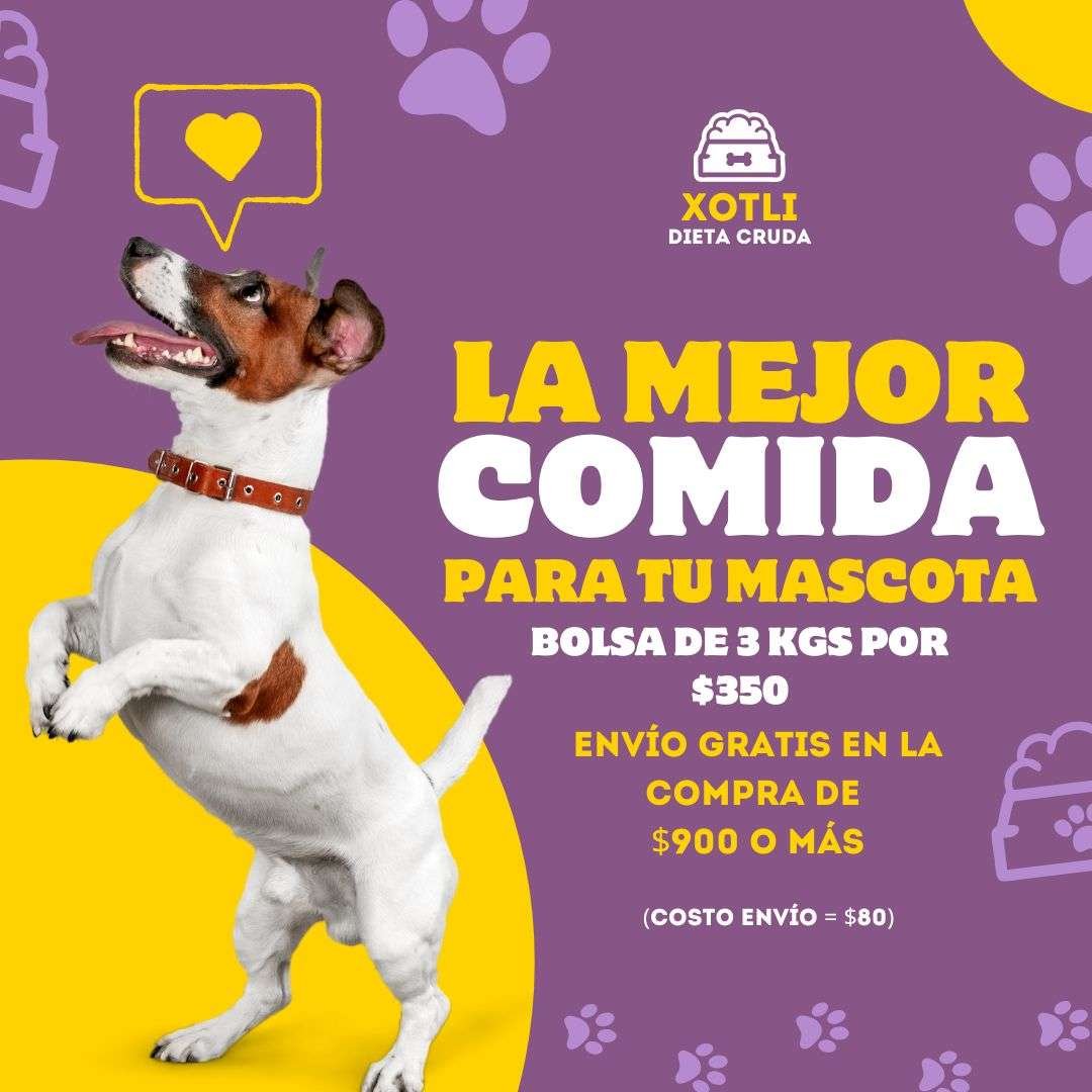 COMIDA CRUDA TIPO BARF PARA TU MASCOTA 😍🐶😺