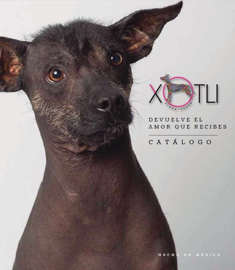 COMIDA CRUDA TIPO BARF PARA TU MASCOTA 😍🐶😺